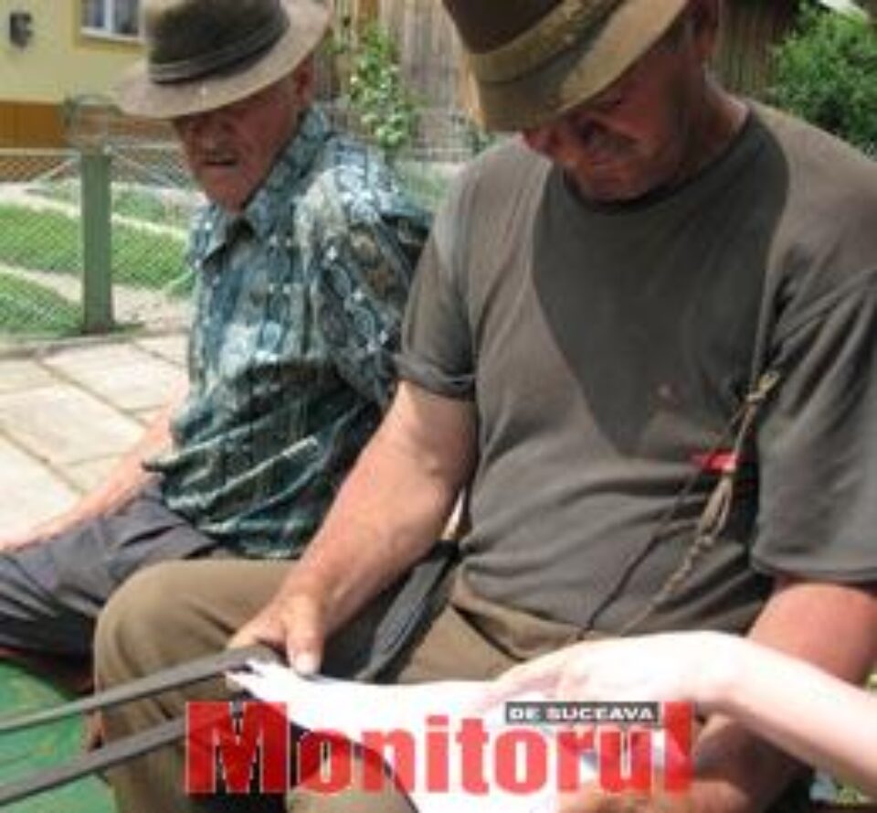 Matematică la coada vacii Matematică la coada vacii