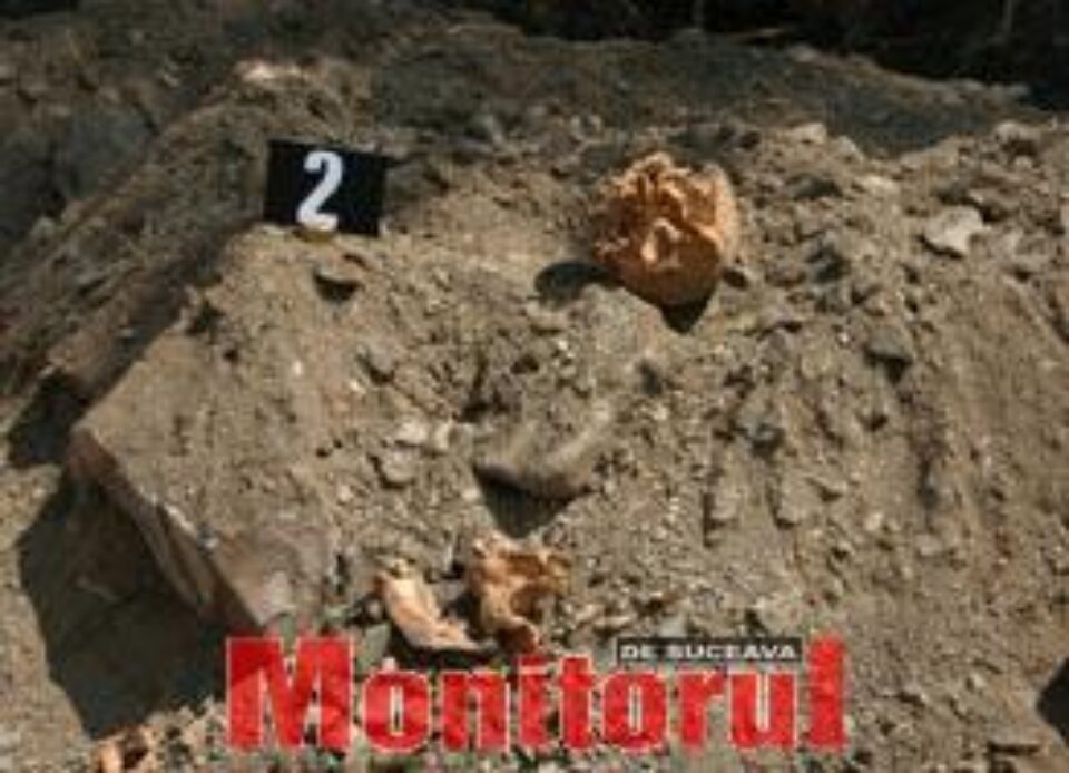 Fragmente de oase umane, găsite în zona gării din Câmpulung Fragmente de oase umane, găsite în zona gării din Câmpulung