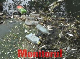 Pericol de apariție a unor focare de infecție în zona Șomuzului