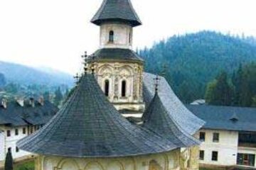 CUVIOSUL PALADIE TAHIGRAFUL