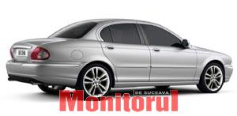 Felinele aristocrate Felinele aristocrate