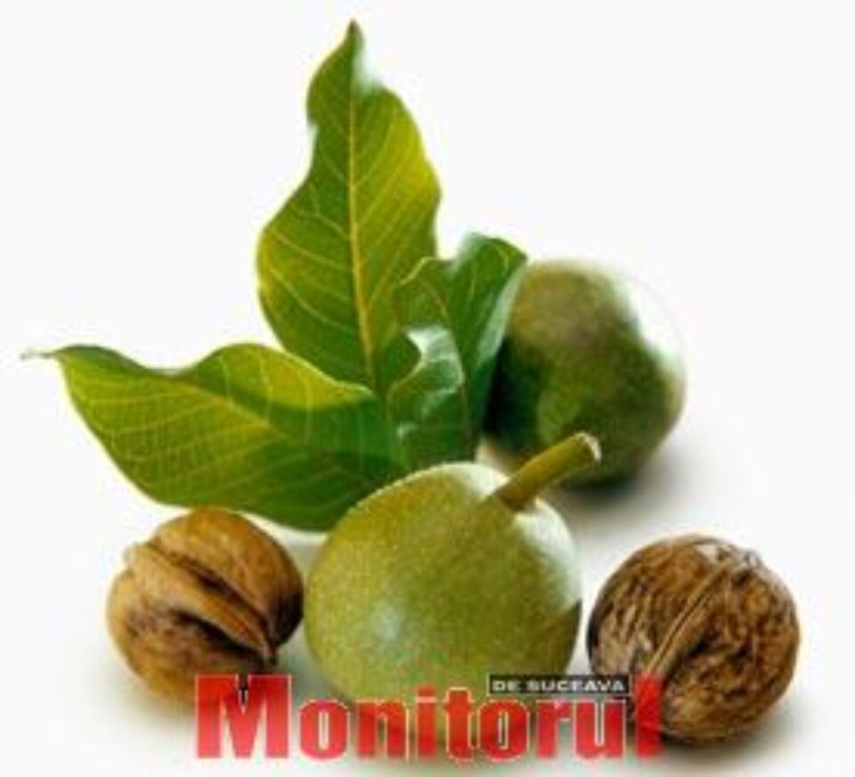 Băile generale cu frunze de nuc combat nervozitatea