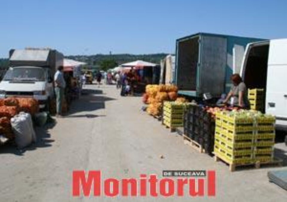 Cele mai mici prețuri la legume și fructe, în piața angro din Burdujeni