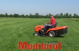 Afaceri cu gazon și plante exotice, la Direcția Silvică Suceava