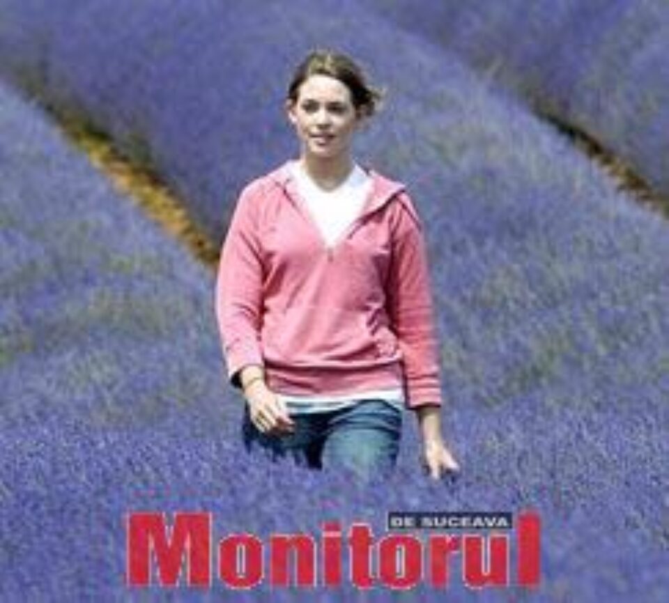 Un câmp de levănțică, loc de plimbare