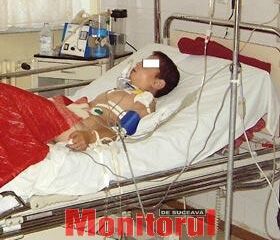 Copil sfâșiat de câinii unui om de afaceri sucevean