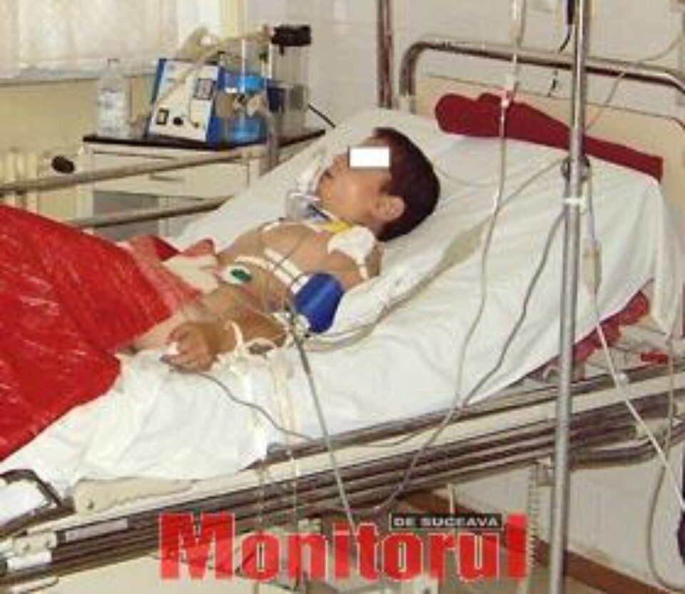 Copil sfâșiat de câinii unui om de afaceri sucevean