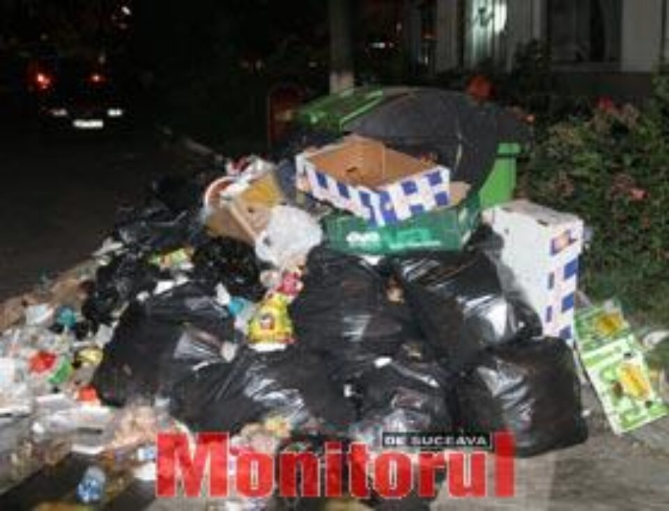 Peste 1800 de metri cubi de gunoi, adunați după Zilele Sucevei
