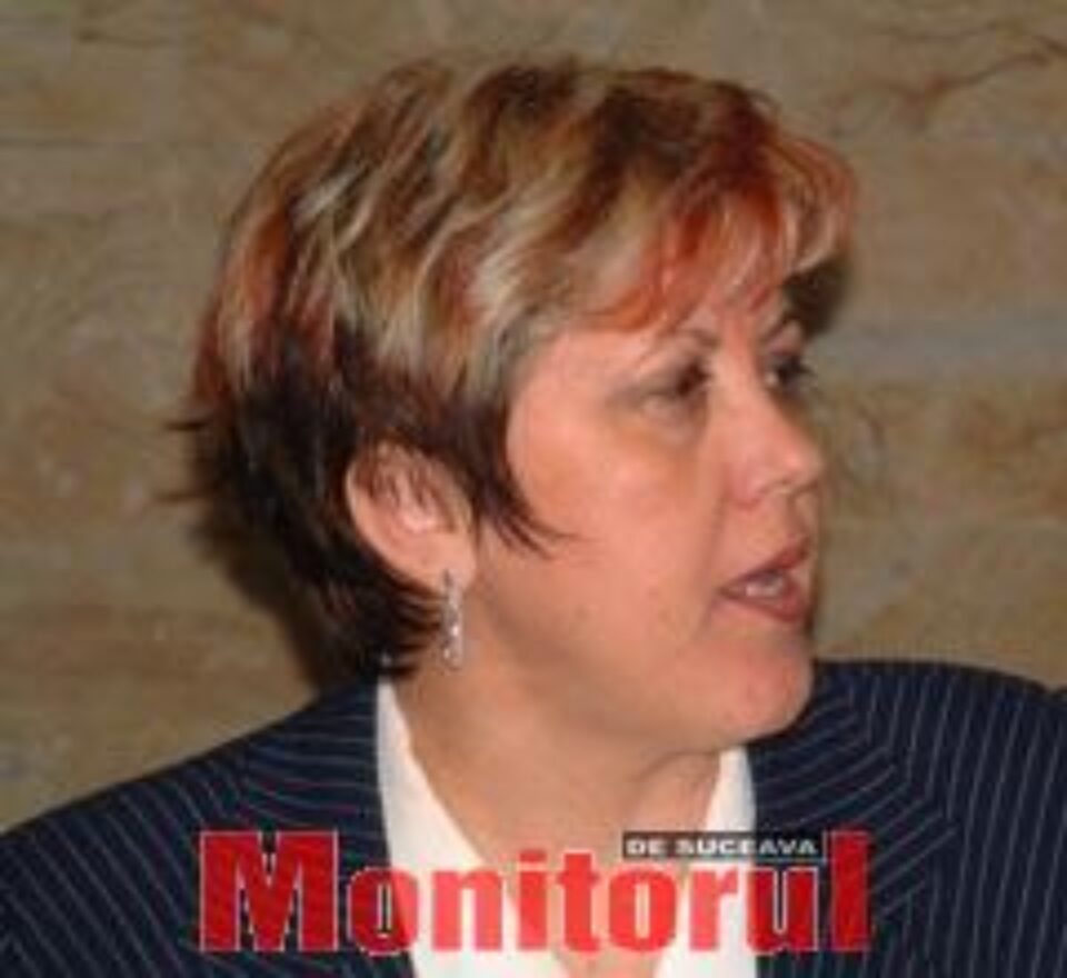 Zarojanu îi acuză pe democrați că încearcă să blocheze activitatea Consiliului Local Suceava