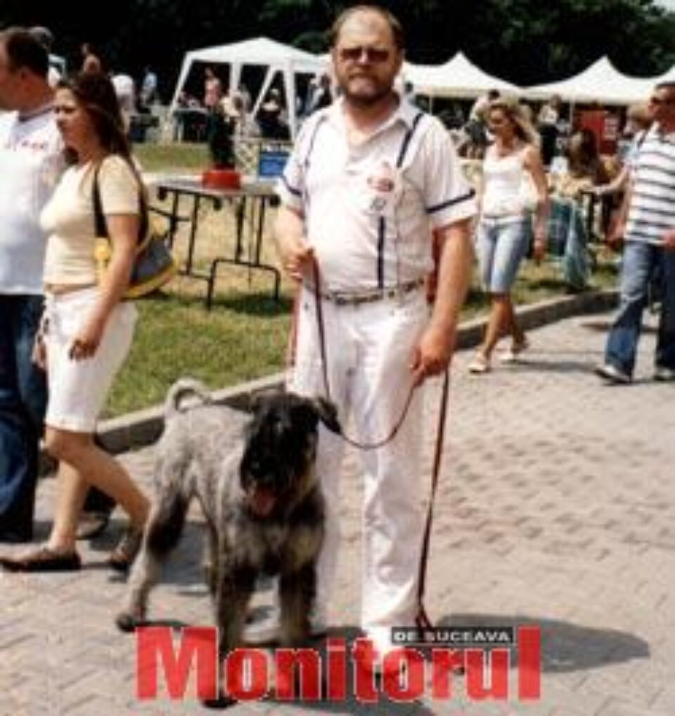 Un Schnauzer uriaș din Suceava, în topul unei expoziții canine din Budapesta