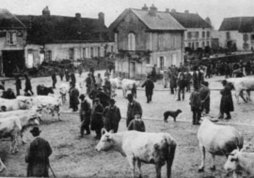 Din presa de altadata