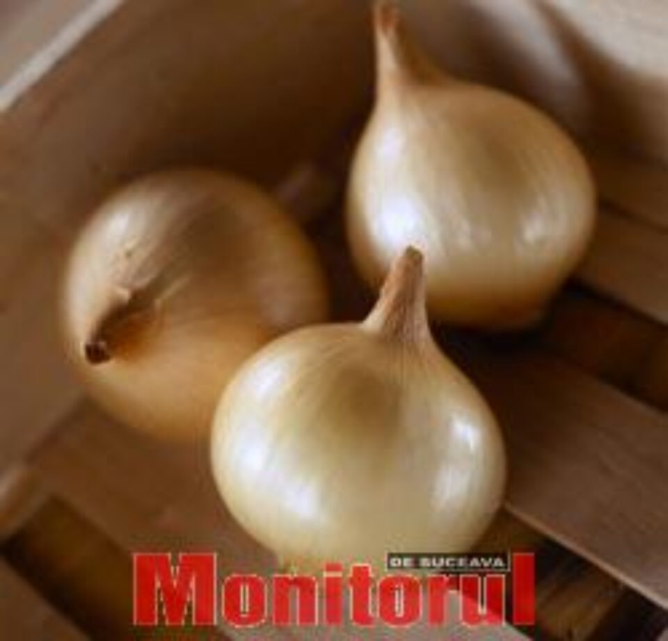 Ceapa alungă tusea sâcâitoare