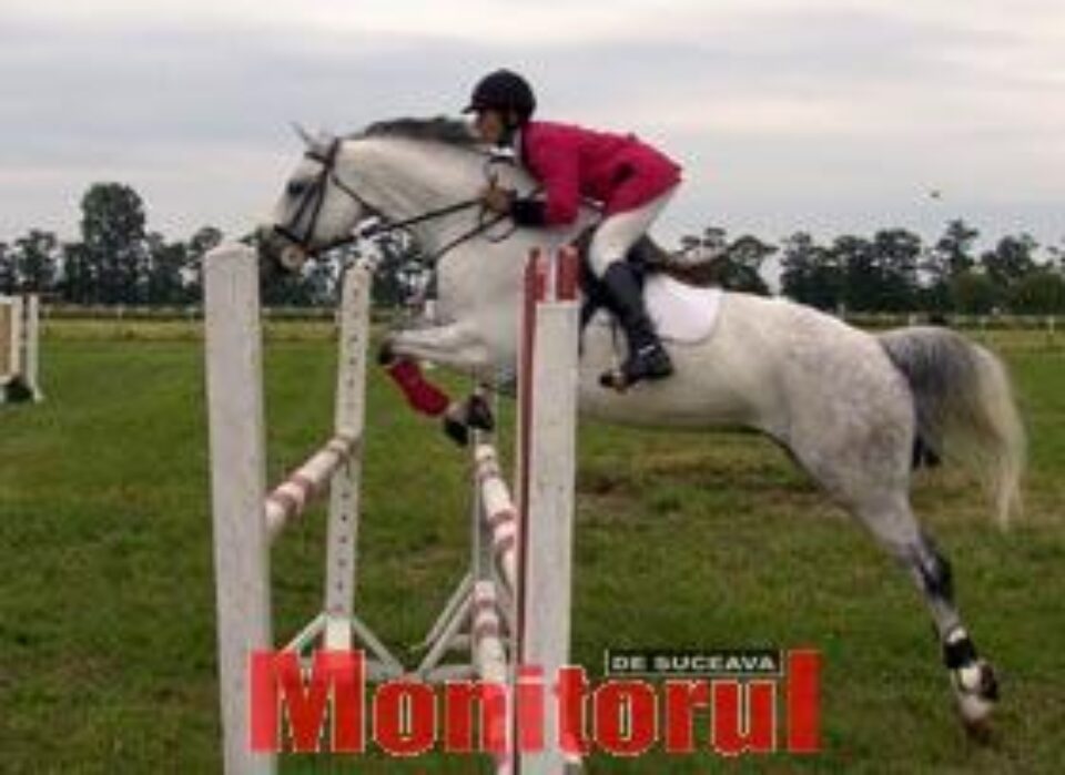 Concurs hipic național pe hipodromul Hergheliei Rădăuți