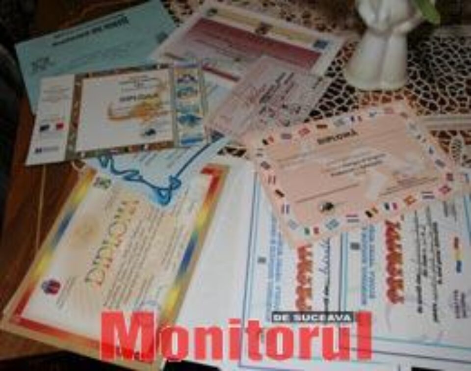 Diplomele de merit zestrea Emanuelei