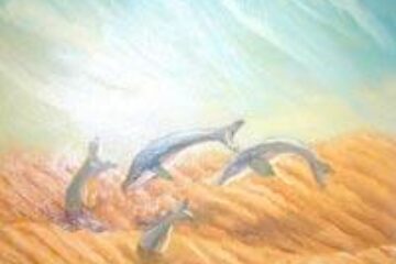Lucrarea „Delfini în nisip” realizată de BOA în anul 2005