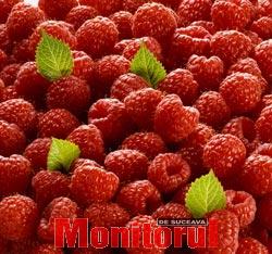 Zmeura, recomandată în bolile renale