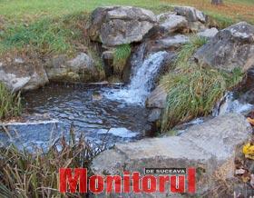 Din presa de altadata