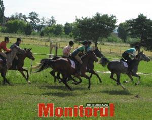 Proba de galop