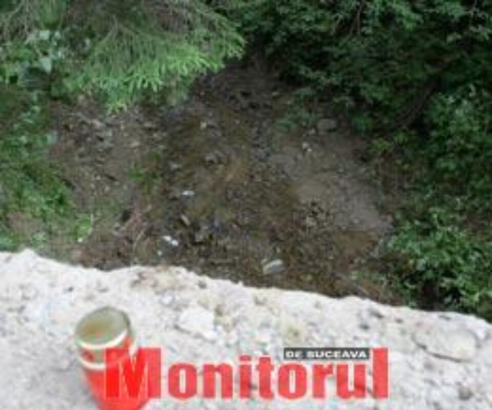 Locul in care s-a petrecut accidentul