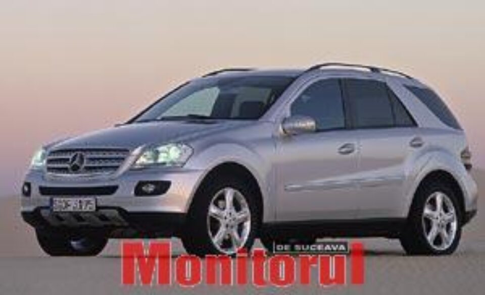 Deceniu de excelență