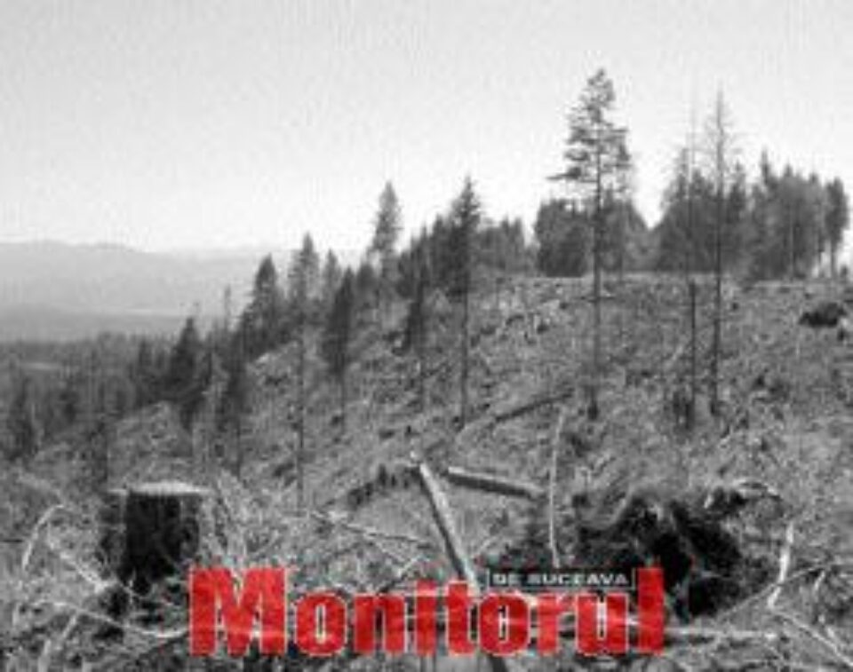 Din presa de altadata