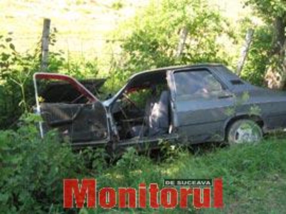 A rupt o bornă kilometrică și s-a oprit cu mașina într-un copac