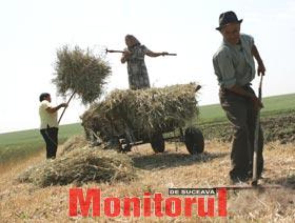 Agricultorii amenință cu proteste