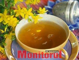 Cătina și pătlagina combat bolile de plămâni