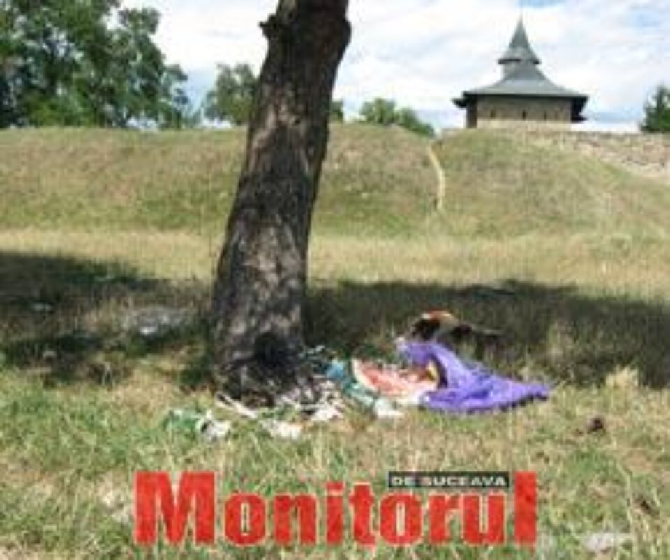 Gunoiul de pe spațiul verde “tronează” în continuare unde a fost abandonat Gunoiul de pe spațiul verde “tronează” în continuare unde a fost abandonat