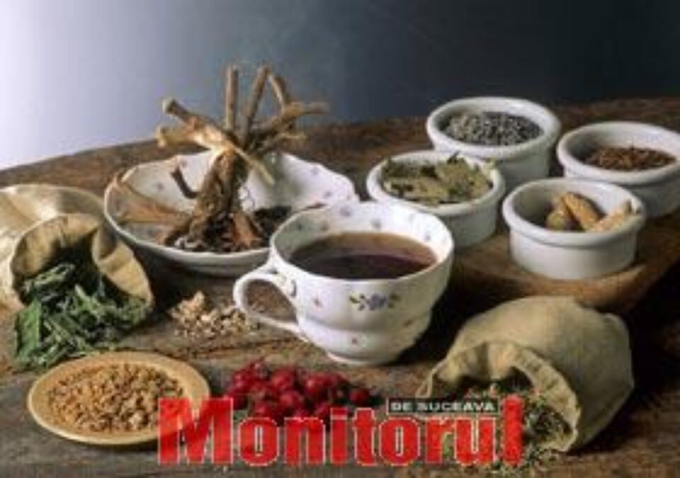 Plantele verii - Roinița