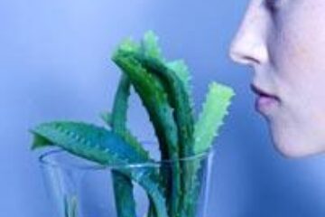 Cinci plante pentru o imunitate… de fier!