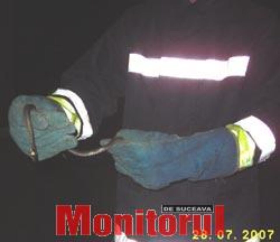 Un sucevean s-a trezit cu un șarpe în dulapul din dormitor