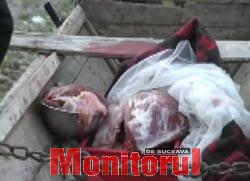 Carne vândută din căruțe, într-un târg clandestin din Vicovu de Sus