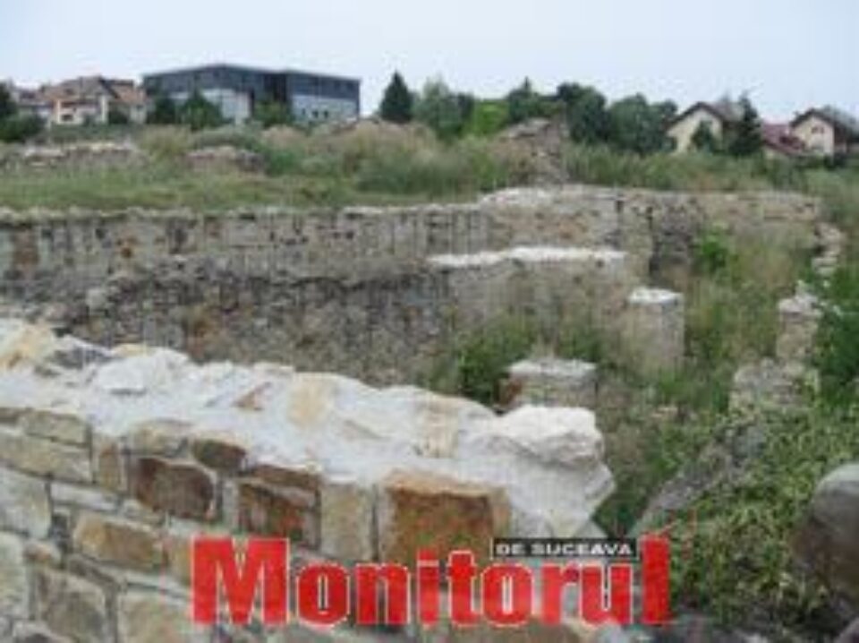 Curtea Domnească va fi, în sfârșit, curățată de gunoaie