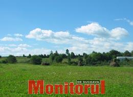 Speculă cu fânul pentru donații