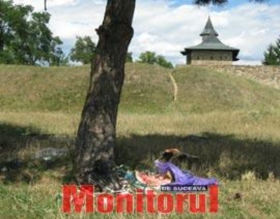 Direcția Silvică, obligată să curețe zona mănăstirii Zamca din Suceava
