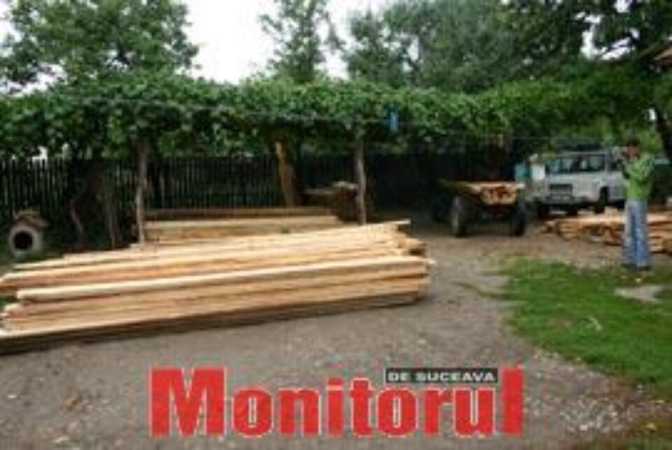 Depozit clandestin de cherestea, în curtea unui polițist