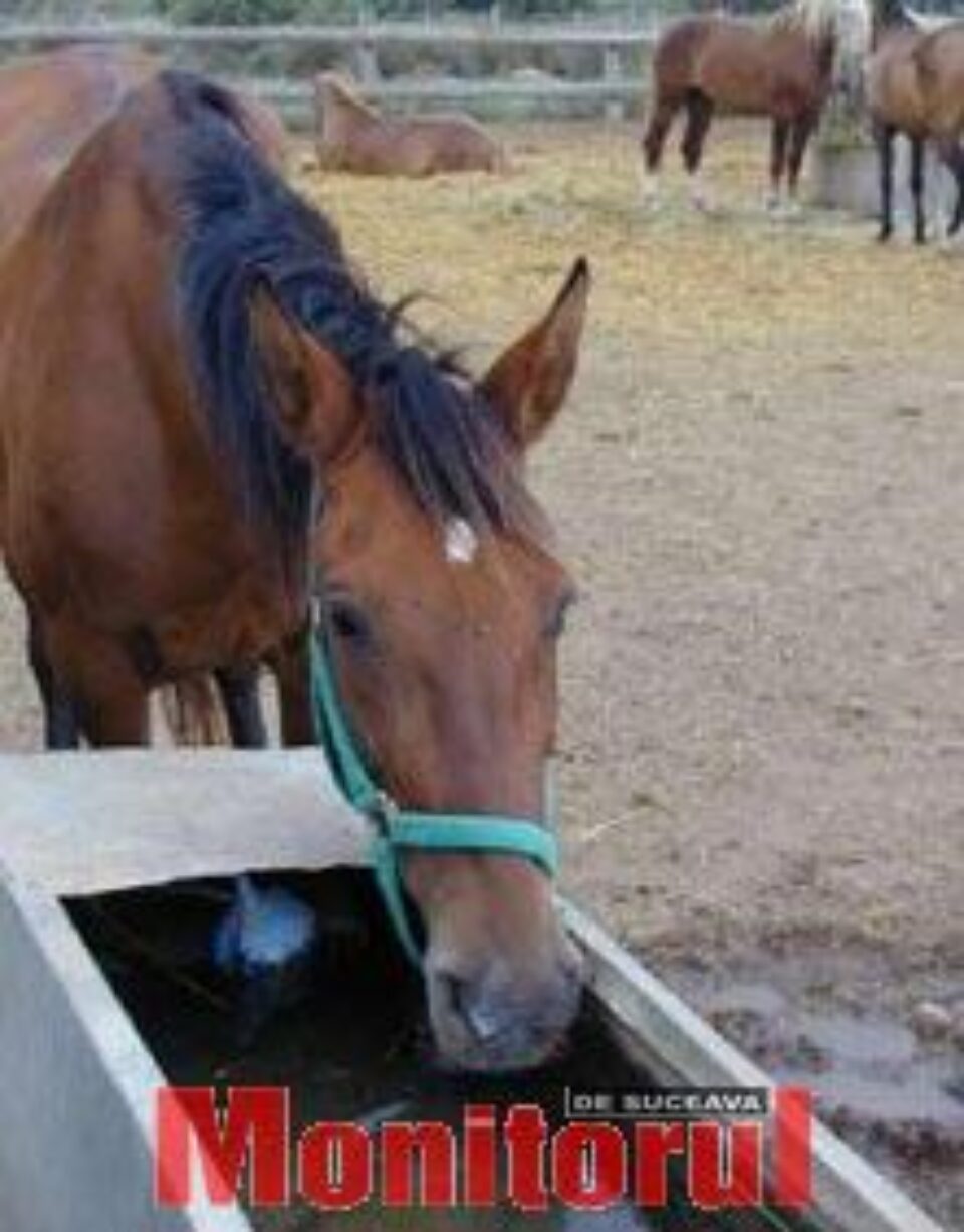 Din presa de altadata