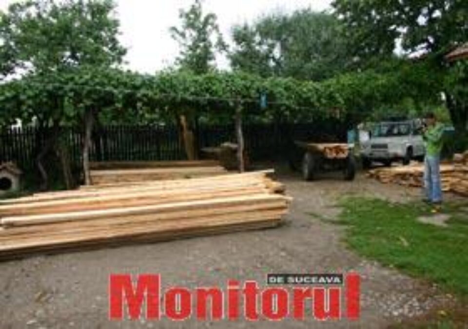 La muncă, polițist, în timpul liber, comerciant de cherestea “la negru”