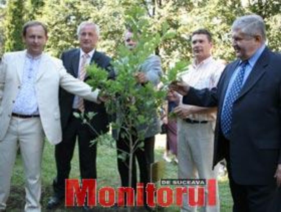 Oficiali din patru regiuni europene au plantat un „arbore al prieteniei” Oficiali din patru regiuni europene au plantat un „arbore al prieteniei”