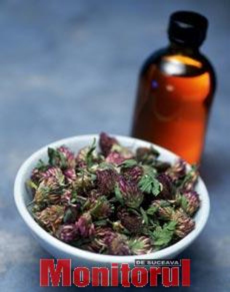 TRATAMENT NATURIST PENTRU HEPATITA C