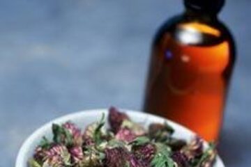 TRATAMENT NATURIST PENTRU HEPATITA C