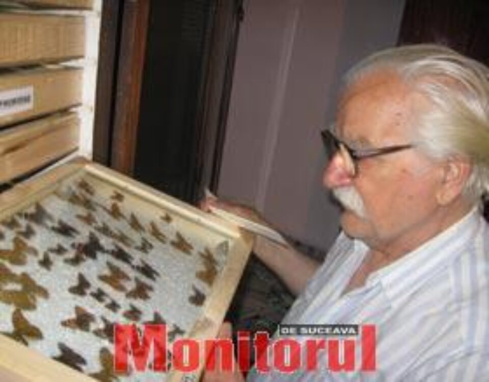 Rafturile cu fluturi, orândiute pe specii