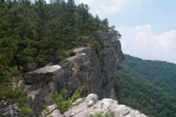 Din presa de altadata