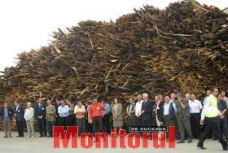 EGGER România a sărbătorit primul transport de lemn la depozitul său EGGER România a sărbătorit primul transport de lemn la depozitul său