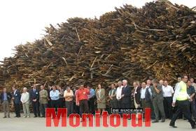 EGGER România a sărbătorit primul transport de lemn la depozitul său