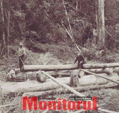 Din presa de altadata