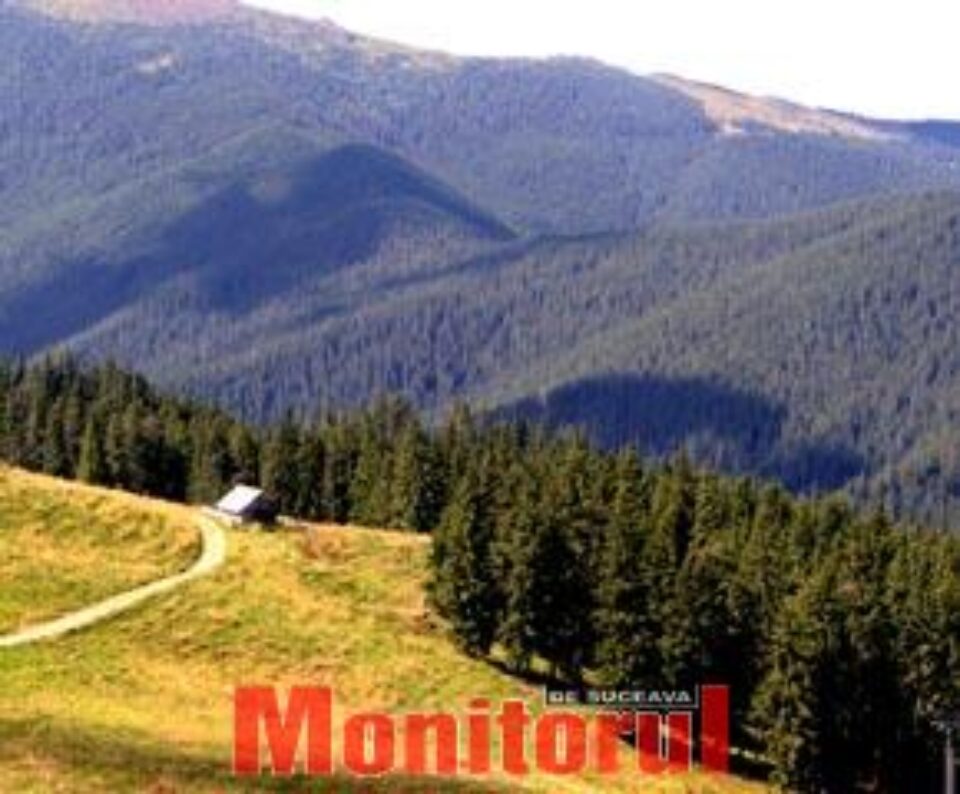 Traseele montane își așteaptă turiștii Traseele montane își așteaptă turiștii