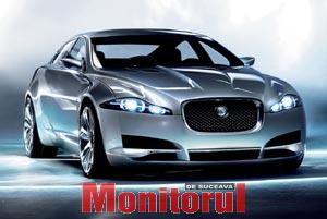 XF, instinct de felină