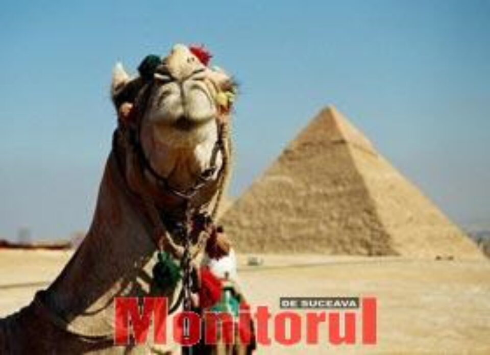 Cea mai veche amprentă de picior uman din istorie, în Egipt